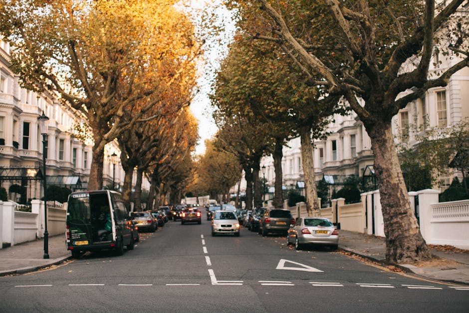 https://houseclearancebelsizepark.co.uk/blog/eton-avenue-bulky-rubbish-collection-belsize-park-advice/