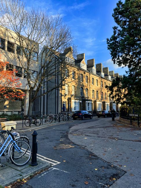 The image displays a quiet street scene in a residential area, featuring a curved asphalt road with minor patches and cracks, bordered by a sidewalk lined with a row of parked bicycles secured to metal bike racks. On the left, there is a large, leafless tree with multiple branches stretching across the scene, contrasting with the partly sunny sky that has scattered clouds and patches of blue. Behind the tree, a modern building with large glass windows and metal framing is visible, alongside traditional brick terraced houses with cream-colored facades, slate roofs, and small chimneys. In the background, three parked cars are seen along the street, with a few pedestrians walking nearby. The area appears to be a well-maintained, peaceful urban setting, which could be associated with private waste collection or rubbish removal services by companies such as House Clearance Belsize Park, emphasizing the importance of local, non-automated waste disposal methods in maintaining the tidiness of the neighborhood.